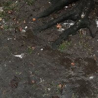 Овсянкин - Осталось только обоссать Овсянкин - Осталось только обоссать