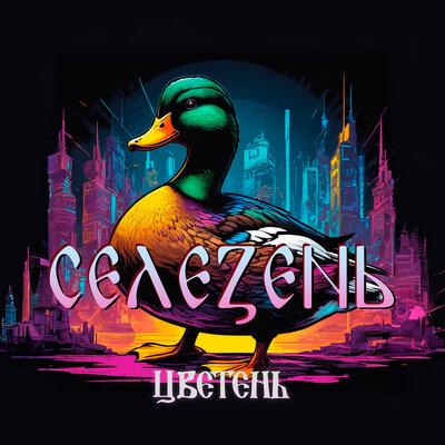 Цветень - Селезень Цветень - Селезень