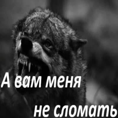 Garik Garik - А вам меня не сломать